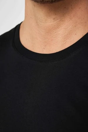 1_org_zoom (1)